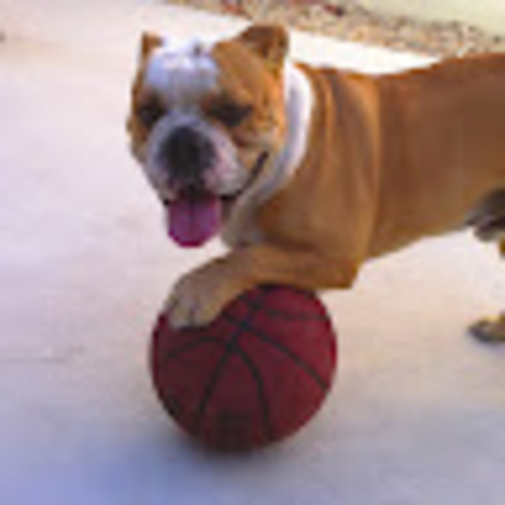 Meet your Posher, Yvette